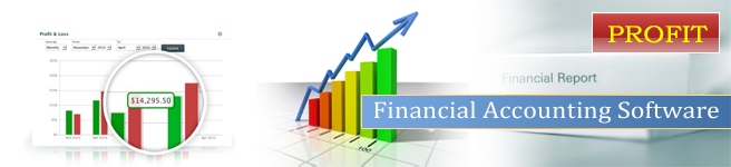 Financial Accounting Software